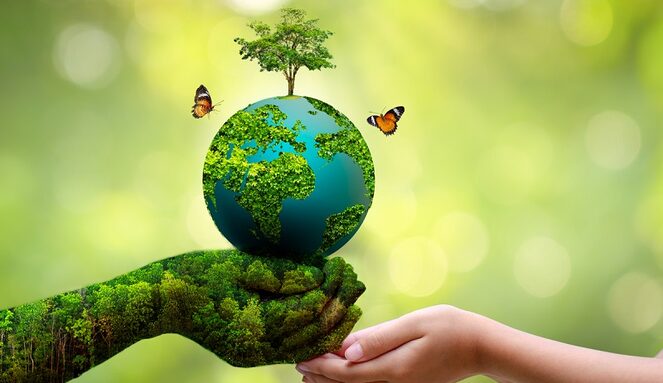 reasons-to-protect-the-environment.jpg
