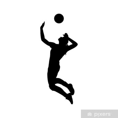 papiers-peints-silhouette-de-volley-ball.jpg.jpg